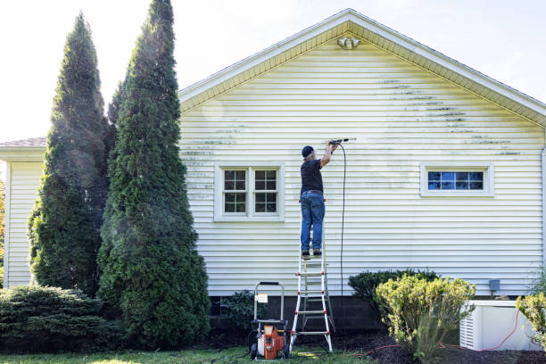 Best Pressure Washing Patio  in Dexter, GA