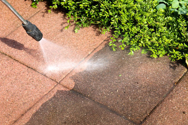 Best Exterior Home Cleaning  in Dexter, GA